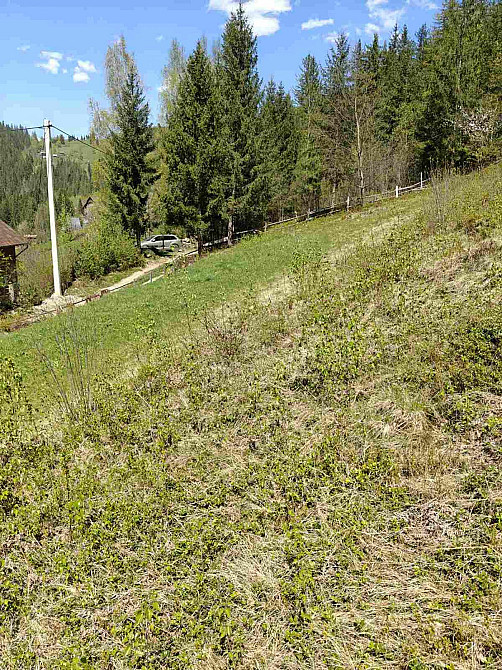 Продаж земельної ділянки 14 соток Яремче - фото 11