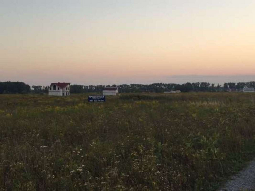 Продаж земельної ділянки 30 соток Іванків - фото 2