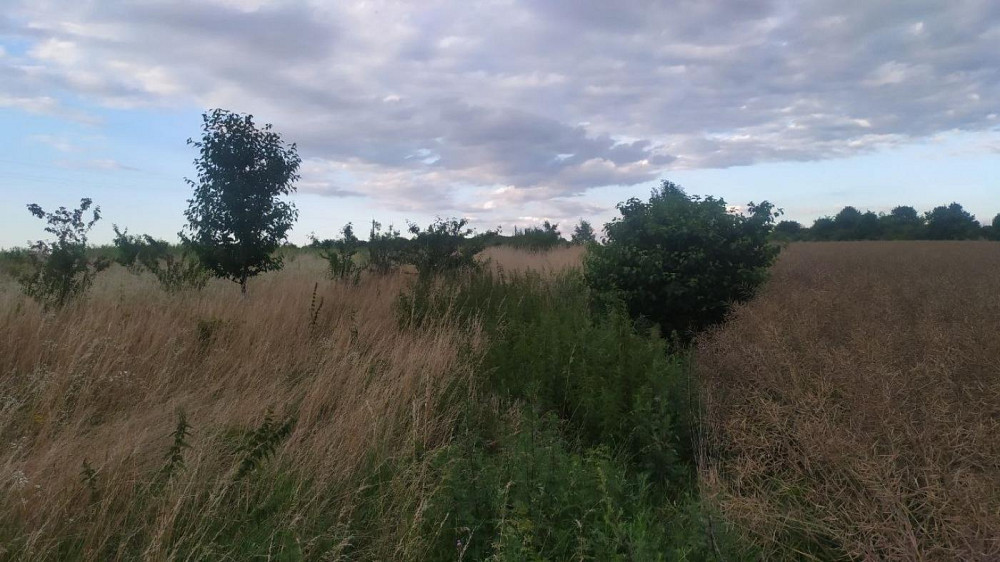 Продаж Квартира Ямпіль - фото 10