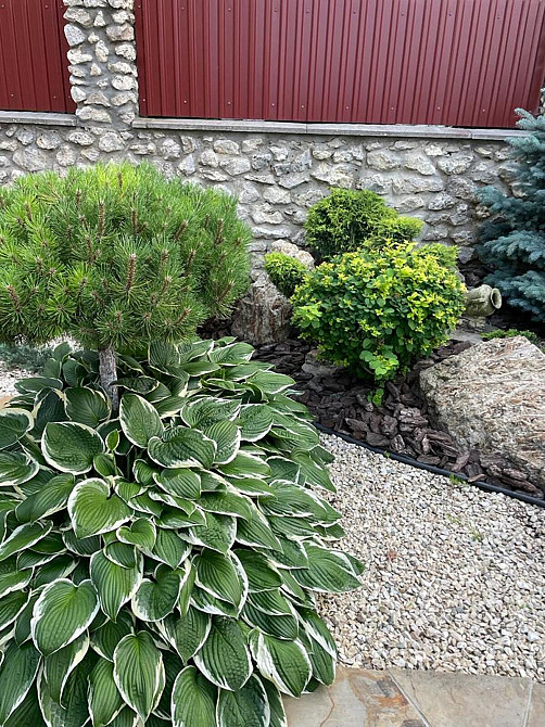 Продаж будинку 290м та 6 сот с.Байківці Байківці - фото 17