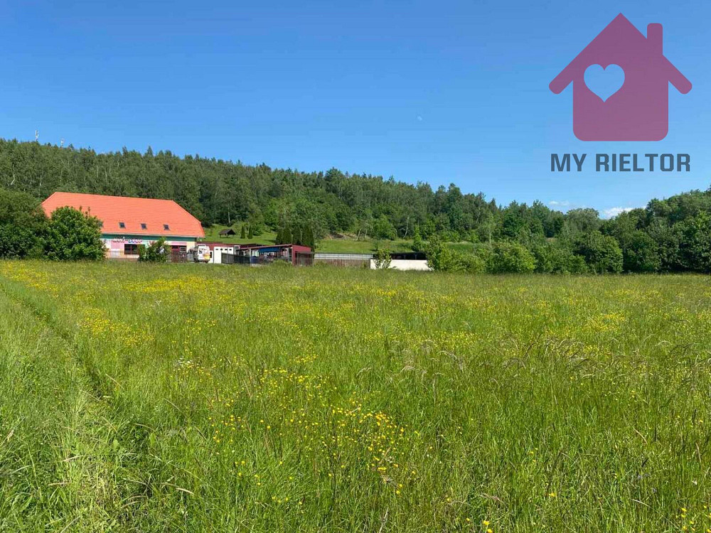 Продаж земельної ділянки 29 соток на Ублянська Malyi Bereznyi - photo 6