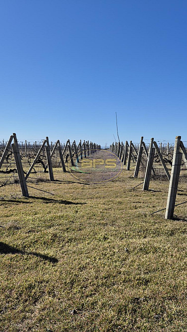 Продаж земельної ділянки 7.72 га на вул. 1 Овідіополь - фото 8