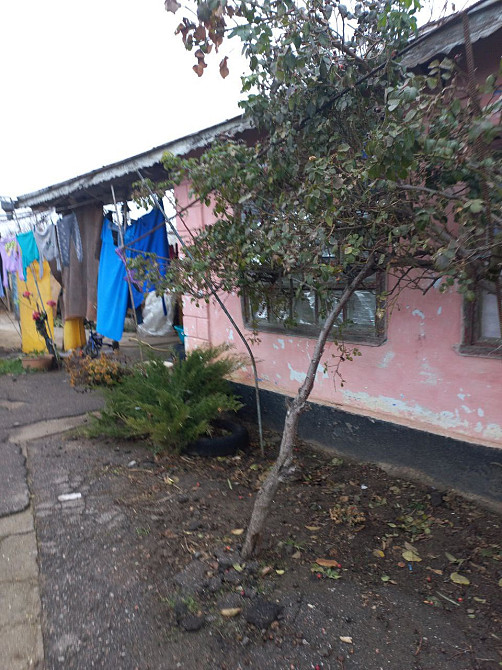 Продам дом в Троицком Новотроїцьке (Любашівський район) - фото 7