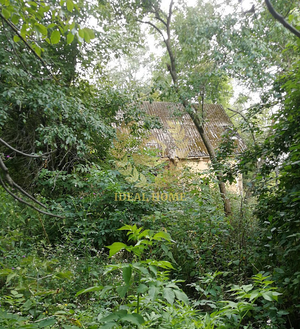 Продаж земельної ділянки 30 соток на Кольцевая ул. Устимовка - изображение 19