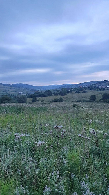 Продаж земельної ділянки 13.7 соток на вул. Шевченка Опака - фото 4