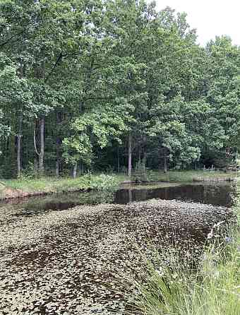 Продаж земельної ділянки 10 соток на Давидівка Житомир
