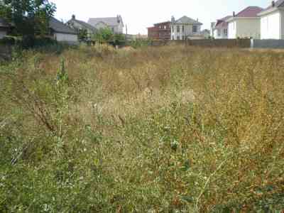 Продаж земельної ділянки 8 соток на ул. Береговая, 95 Лиманка