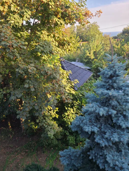 Продам дом возле моря в районе Крыжановки Odessa - photo 7