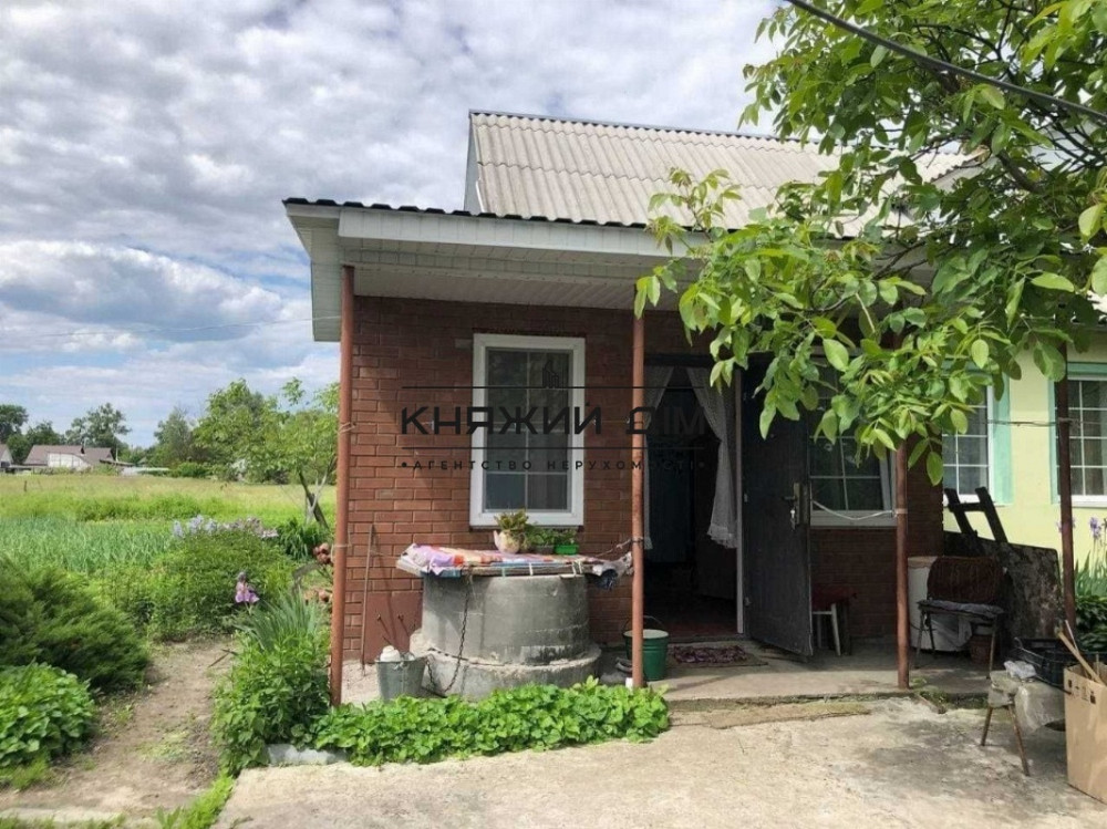 Продаж 1-поверховий Будинок з ділянкою 29 сот 119 кв.м    - фото 14