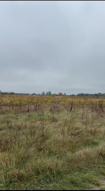 Продаж земельної ділянки 15 соток Козлин - изображение 3