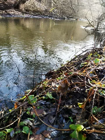 Продажа 2-этажный   250 кв.м 6 комн. на Миру вулиця 34  - изображение 4