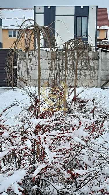 Продаж Будинок 2-кімнатний на Вентова ул., 30 Вильна Тарасовка - изображение 13