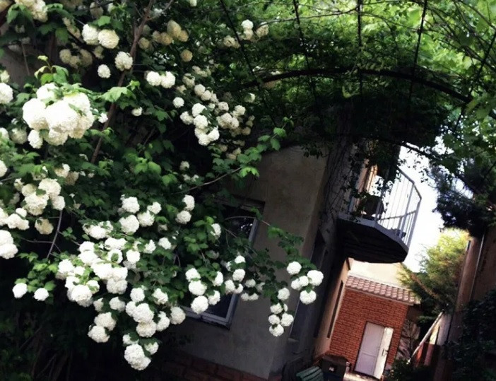 Продаж Будинок на Чубаевская ул. Odessa - photo 13