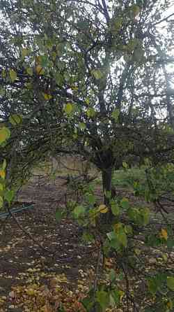 Продаж земельної ділянки 0.3 соток на ул. Дмитрия Жекова, 30 Андрієво-Іванове