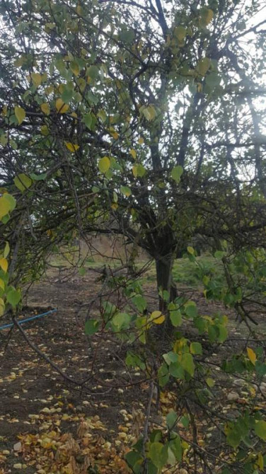 Продаж земельної ділянки 0.3 соток на ул. Дмитрия Жекова, 30 Андрієво-Іванове - фото 2