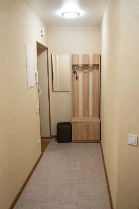 Оренда Квартира 1-кімнатна, 3/5 поверх на ул. Елены Телиги Київ - фото 2