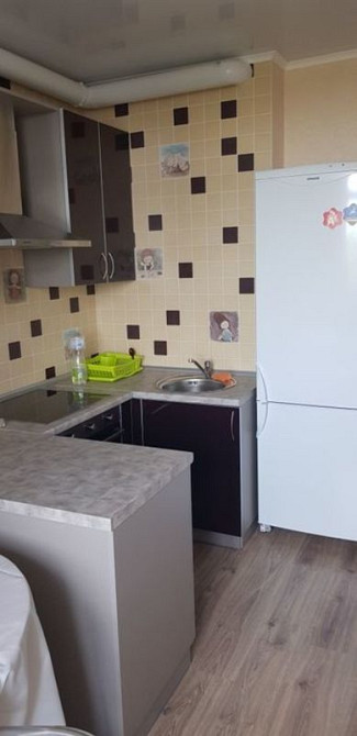 Оренда Квартира 1-кімнатна, 10/16 поверх на ул. Светлая, 3 Киев - изображение 2