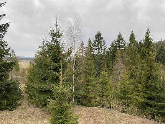 Продаж Квартира на улица Під Митою 13 Орявчик