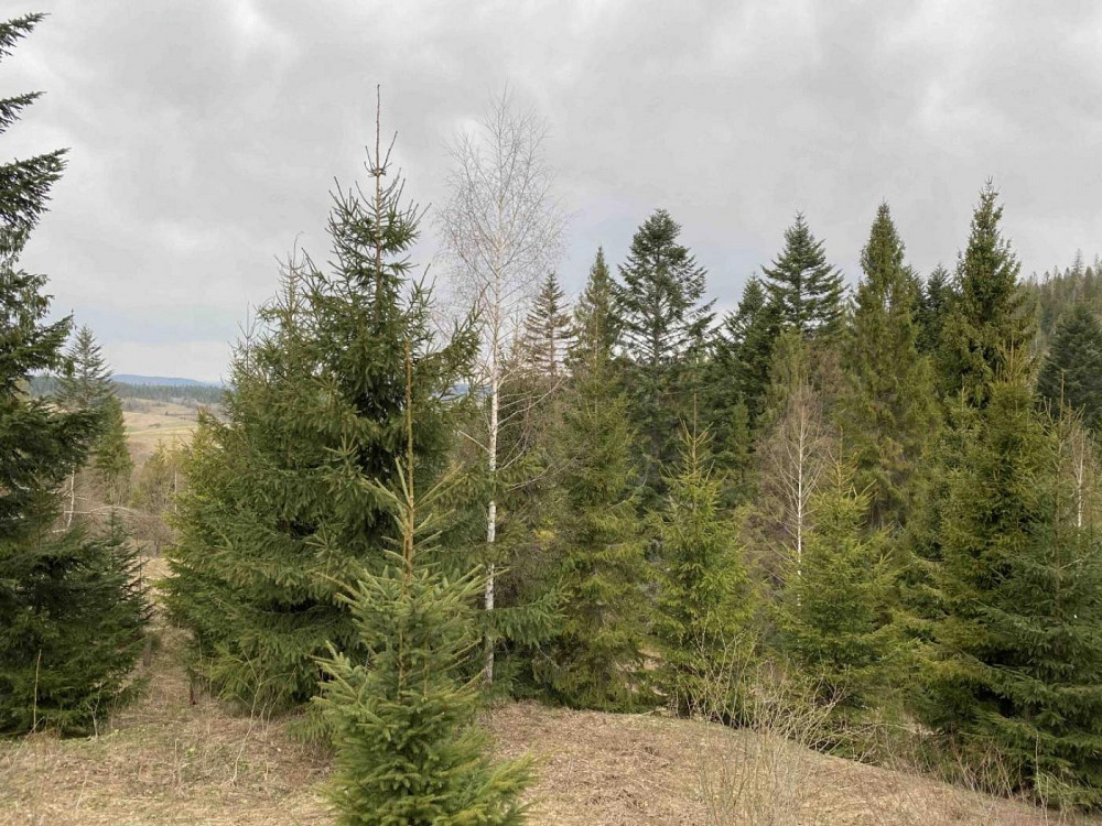 Продаж Квартира на улица Під Митою 13 Орявчик - изображение 3