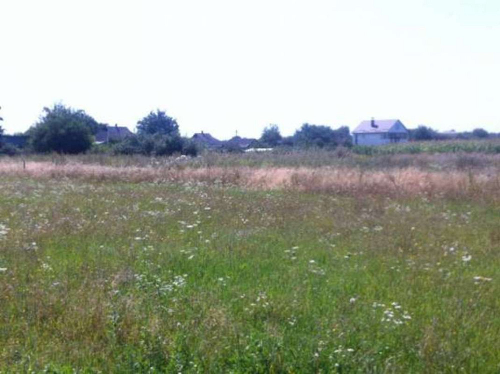 Продаж земельної ділянки 50 соток Головурів - фото 1