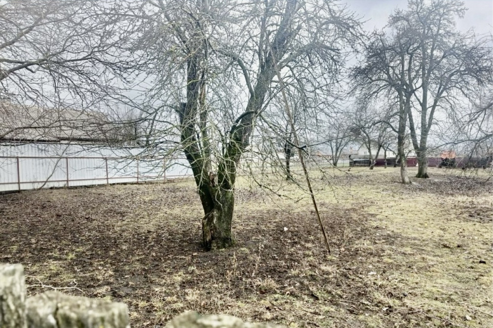 Продаж земельної ділянки 30 соток на Клітчин Zhytomyr - photo 2