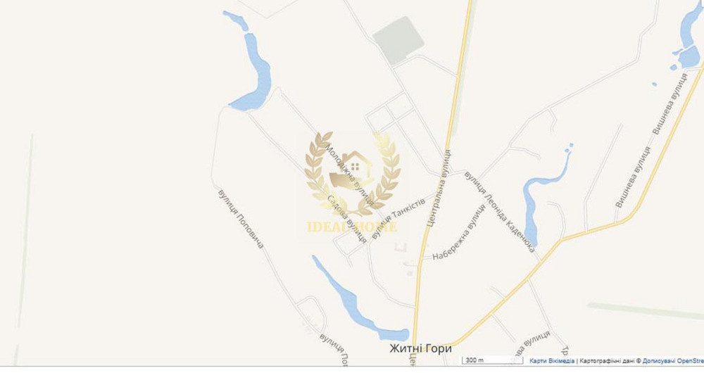 Продам будинок у Житних Горах  - фото 3