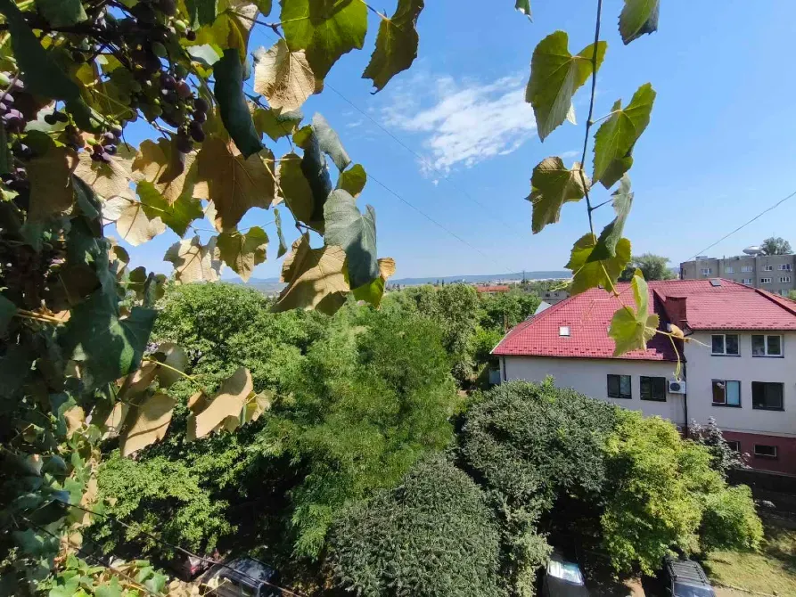 Продажа 3к Квартира 65 кв.м М. Вербицького 43 Ужгород - изображение 10