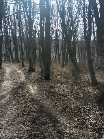 Продажа земельного участка  площадь 10 сот Тернопільська вулиця 1  - изображение 2