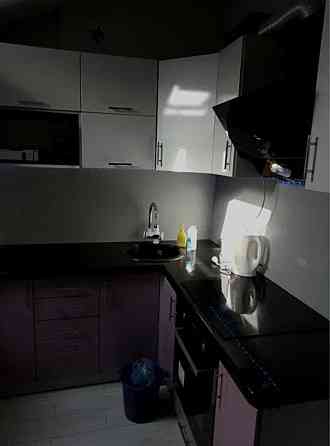 Оренда Квартира 1-кімнатна, 8/8 поверх на провулок Павла ЛІ, 2Б Київ