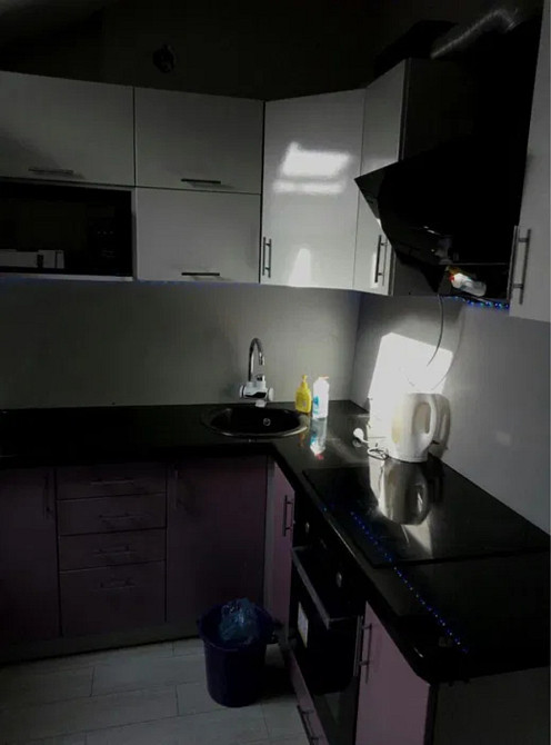 Оренда Квартира 1-кімнатна, 8/8 поверх на провулок Павла ЛІ, 2Б Kiev - photo 5