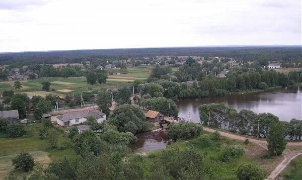 Продаж 1-поверховий Будинок з ділянкою 40 сот 70 кв.м 2 кімн. на Грушки Житомир - изображение 2