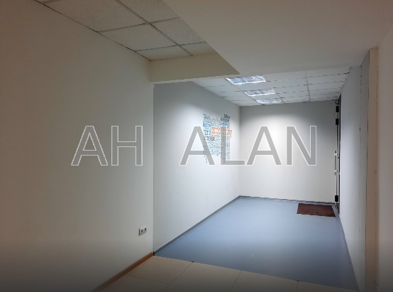 Оренда Будинок 5-кімнатний на Жилянська вул., 59 Київ - фото 7