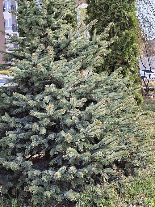 Продаж Квартира 3-кімнатна, 5/5 поверх на вул. Горбача Кременець - фото 2