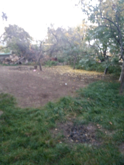 Продаж земельної ділянки 25 соток на ул. Николаевская, 30 Усатове - фото 1