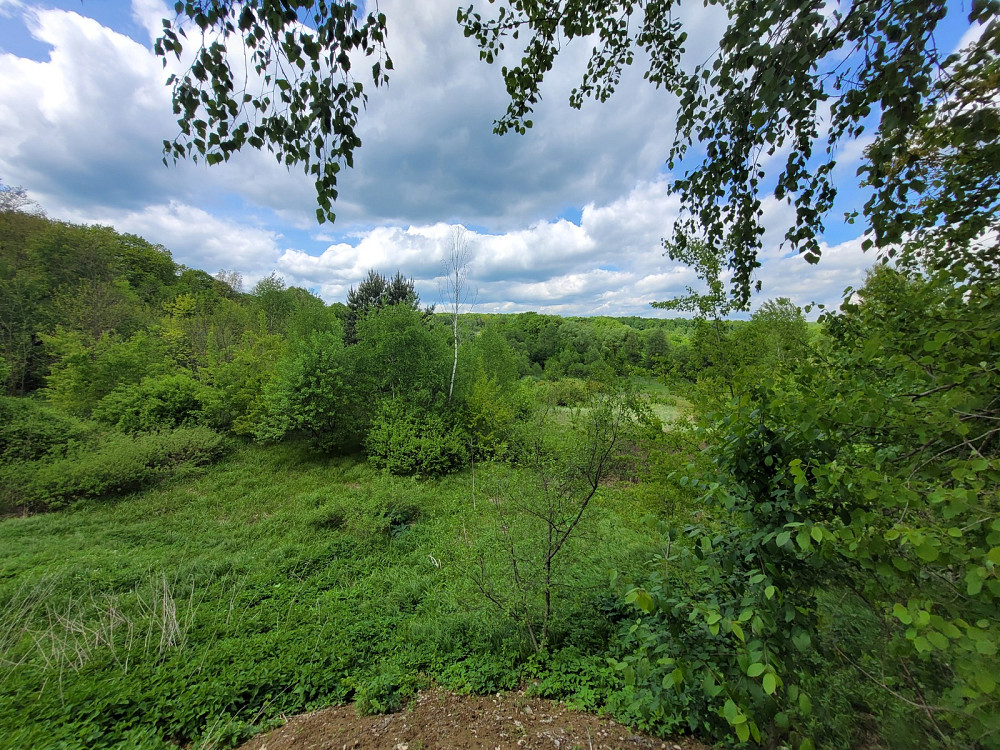 Продаж земельної ділянки 25 соток на Франка Pavlivka - photo 10