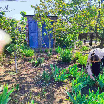 Продаж земельної ділянки 0.1 соток на СТ Межлиманье ( ул. Виноградная), 467 Протопоповка - изображение 4