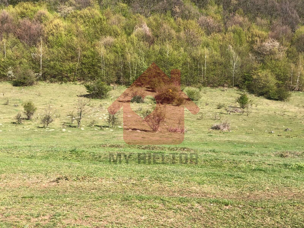 Продаж земельної ділянки 1 га  - изображение 4