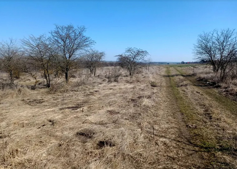 Продаж земельної ділянки 8 соток  - фото 8