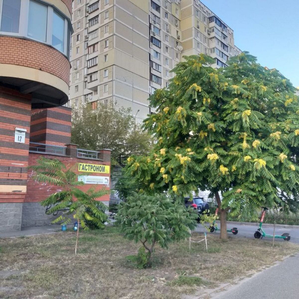 Продаж Квартира 3-кімнатна, 8/16 поверх на Срібнокільська, 8 Київ - фото 4