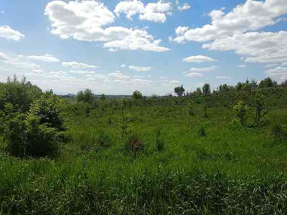 Продаж земельної ділянки 16 соток на Урочище Над Гумнищем 