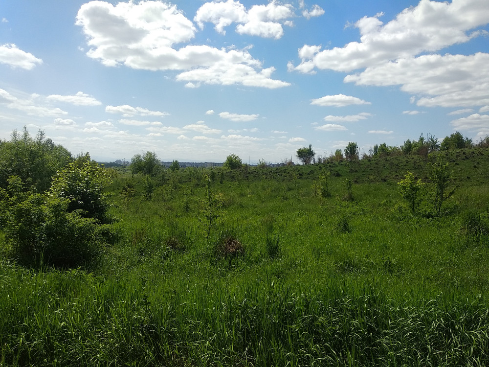 Продаж земельної ділянки 16 соток на Урочище Над Гумнищем  - photo 6