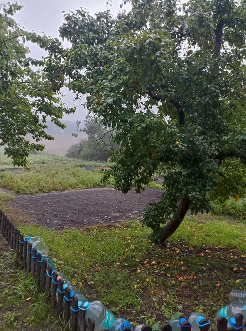 Продается Дом с участком 1,4 га, район Ст,Балашовка. Кропивницкий Кропивницький - фото 11