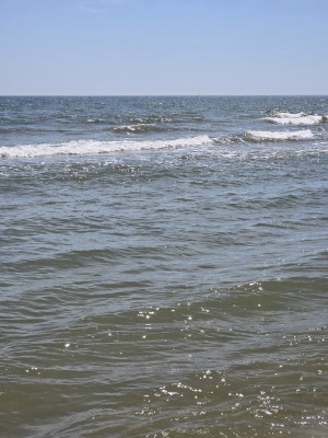 Продаж земельної ділянки 0.1 соток на Кинаповец, 1303 Затока - фото 6