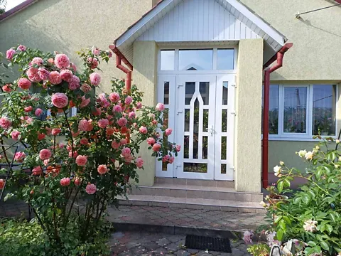 Продаж 3-поверховий   135 кв.м 3 кімн. на Молодіжна вулиця 10  - фото 11