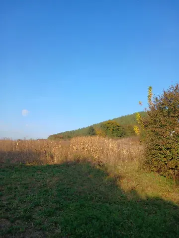 Продажа 1-этажный   39.9 кв.м 1 комн. на Незалежності вулиця 52  - изображение 12