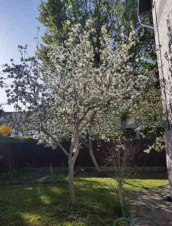 Продаж 3-поверховий Будинок з ділянкою 10 сот 345 кв.м 7+ кімн. на Велика Бердичівська Zhytomyr