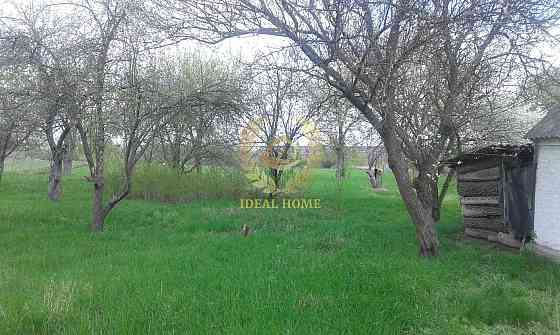 Продам будинок на 65 сотках землі, Косяківка Косяківка