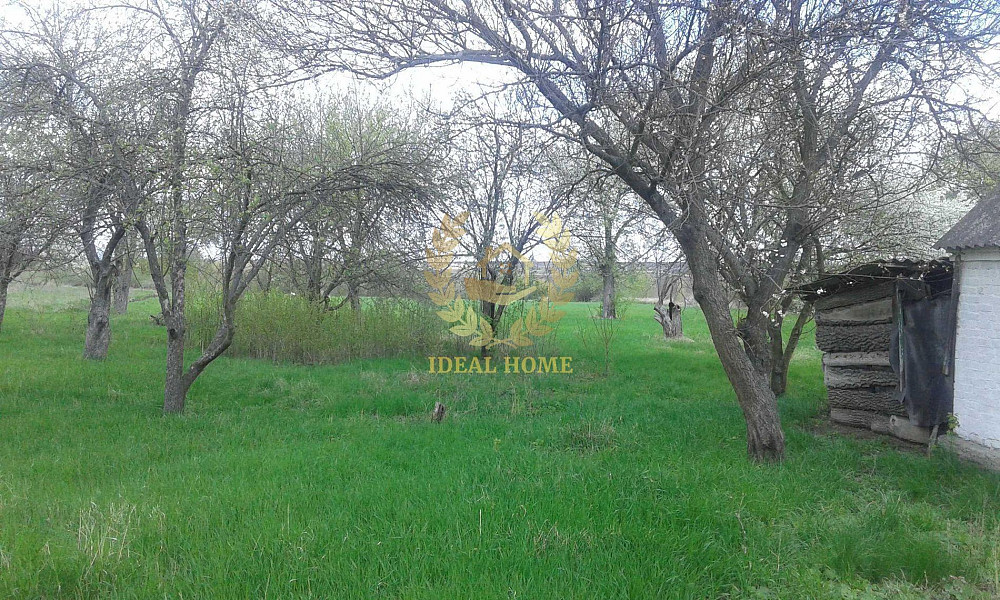 Продам будинок на 65 сотках землі, Косяківка Косяківка - фото 5