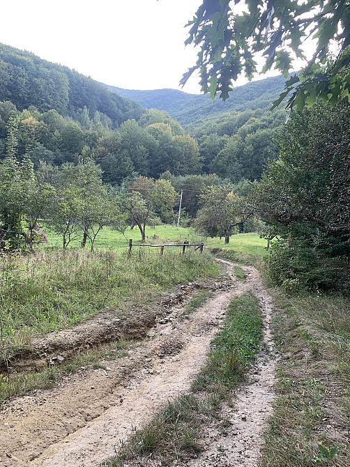 Продаж земельної ділянки 71.71 соток Yaremche - photo 9