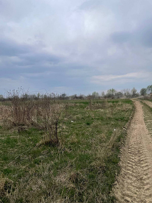 Продаж земельної ділянки 30 соток  - фото 7